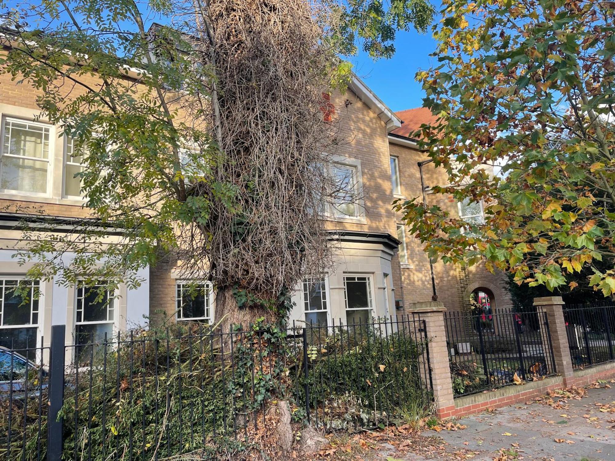 Apartamento Baycroft House Londres Exterior foto